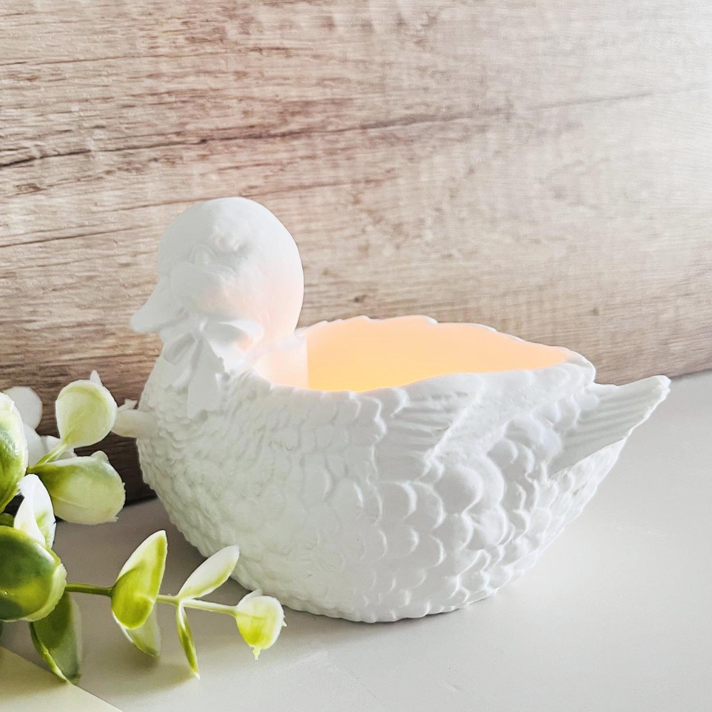 Beautiful Plaster Duck Storage - Candle Making Supplies Jars บทวิจารณ์และราคา